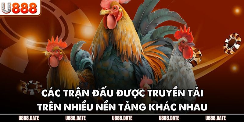 Các trận đấu được truyền tải trên nhiều nền tảng khác nhau